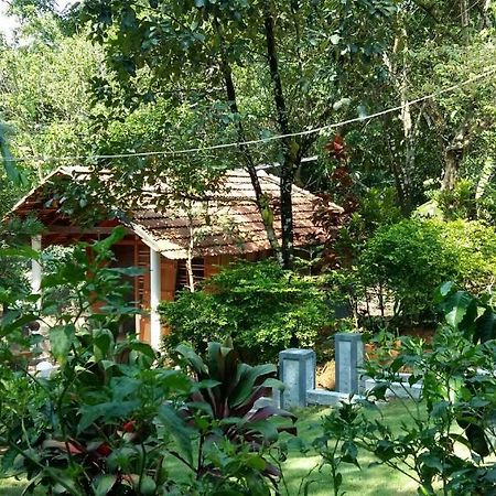 Leisure Vacations Whispering Woods Hotel Madikeri Luaran gambar