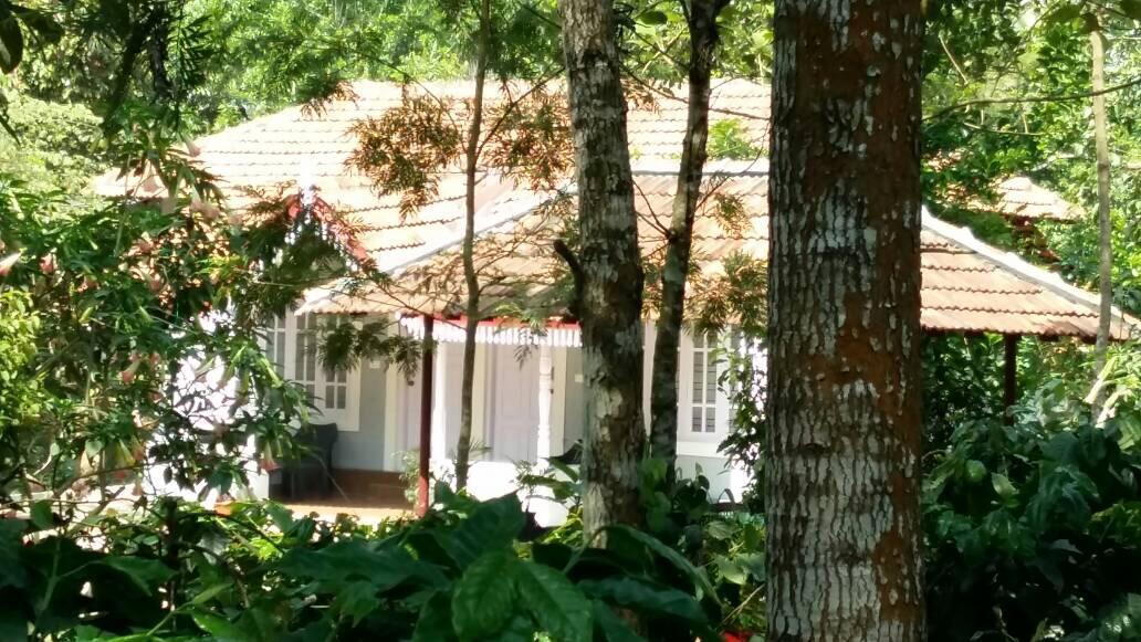 Leisure Vacations Whispering Woods Hotel Madikeri Luaran gambar