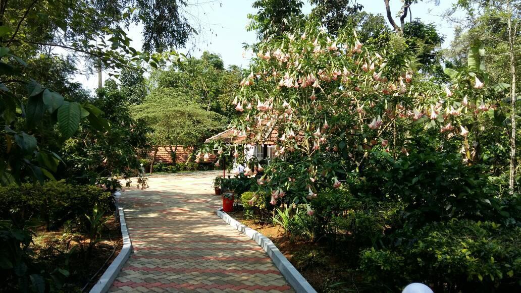 Leisure Vacations Whispering Woods Hotel Madikeri Luaran gambar