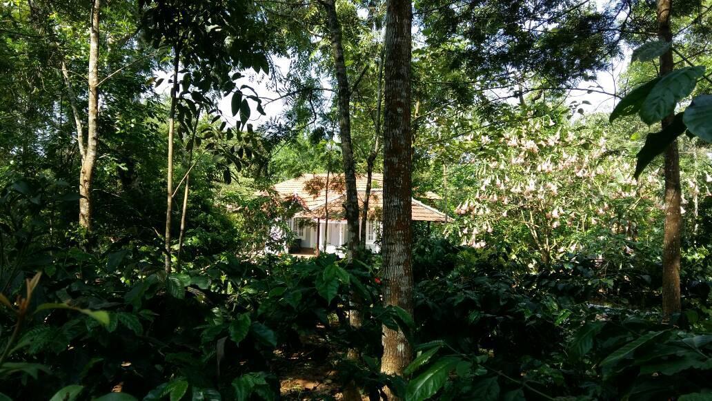 Leisure Vacations Whispering Woods Hotel Madikeri Luaran gambar