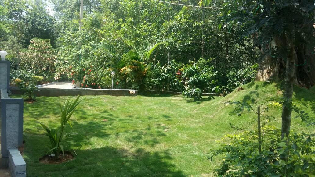 Leisure Vacations Whispering Woods Hotel Madikeri Luaran gambar