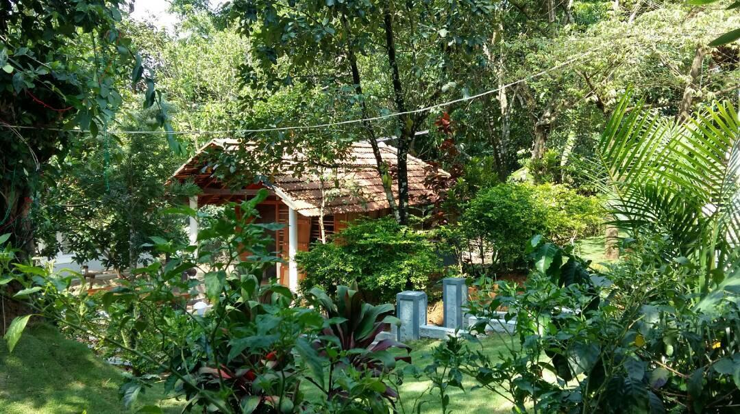 Leisure Vacations Whispering Woods Hotel Madikeri Luaran gambar